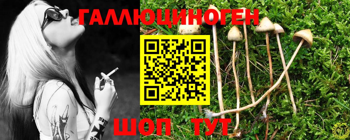 Галлюциногенные грибы ЛСД  как найти наркотики  Южно-Сахалинск  Вход с VPN 