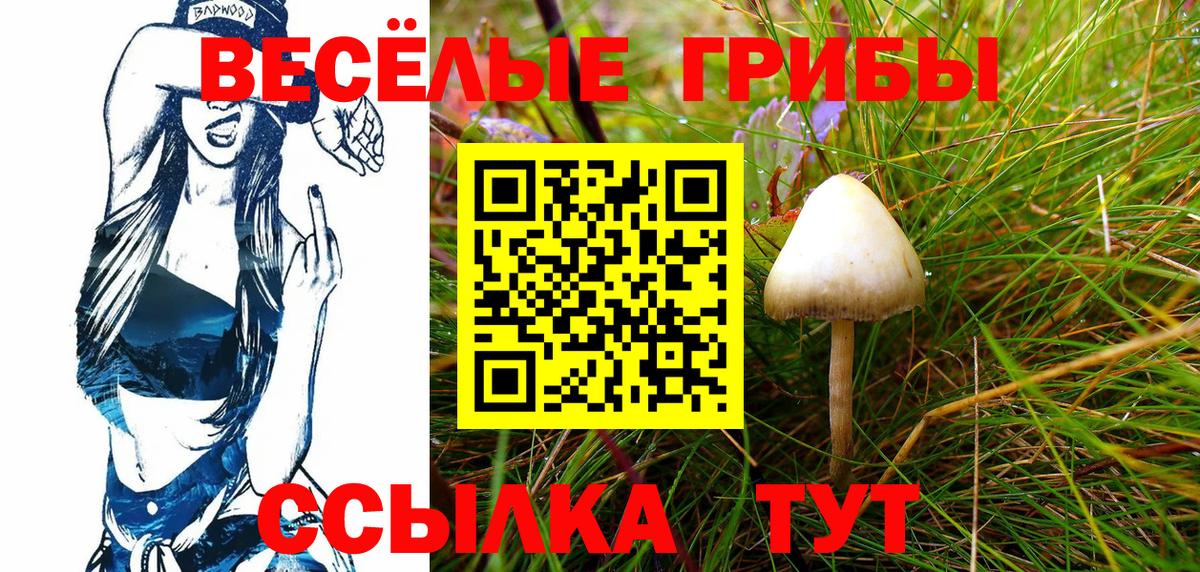 Псилоцибиновые грибы мухоморы Южно-Сахалинск